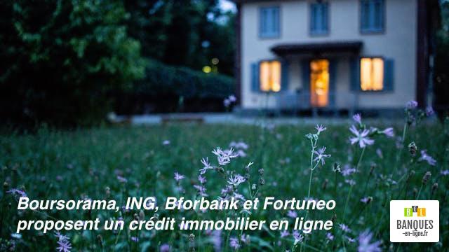 crédit immobilier terrain de conquete pour la banque en ligne
