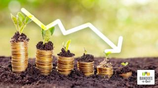 taux-d-assurance-vie-livres-en-2017
